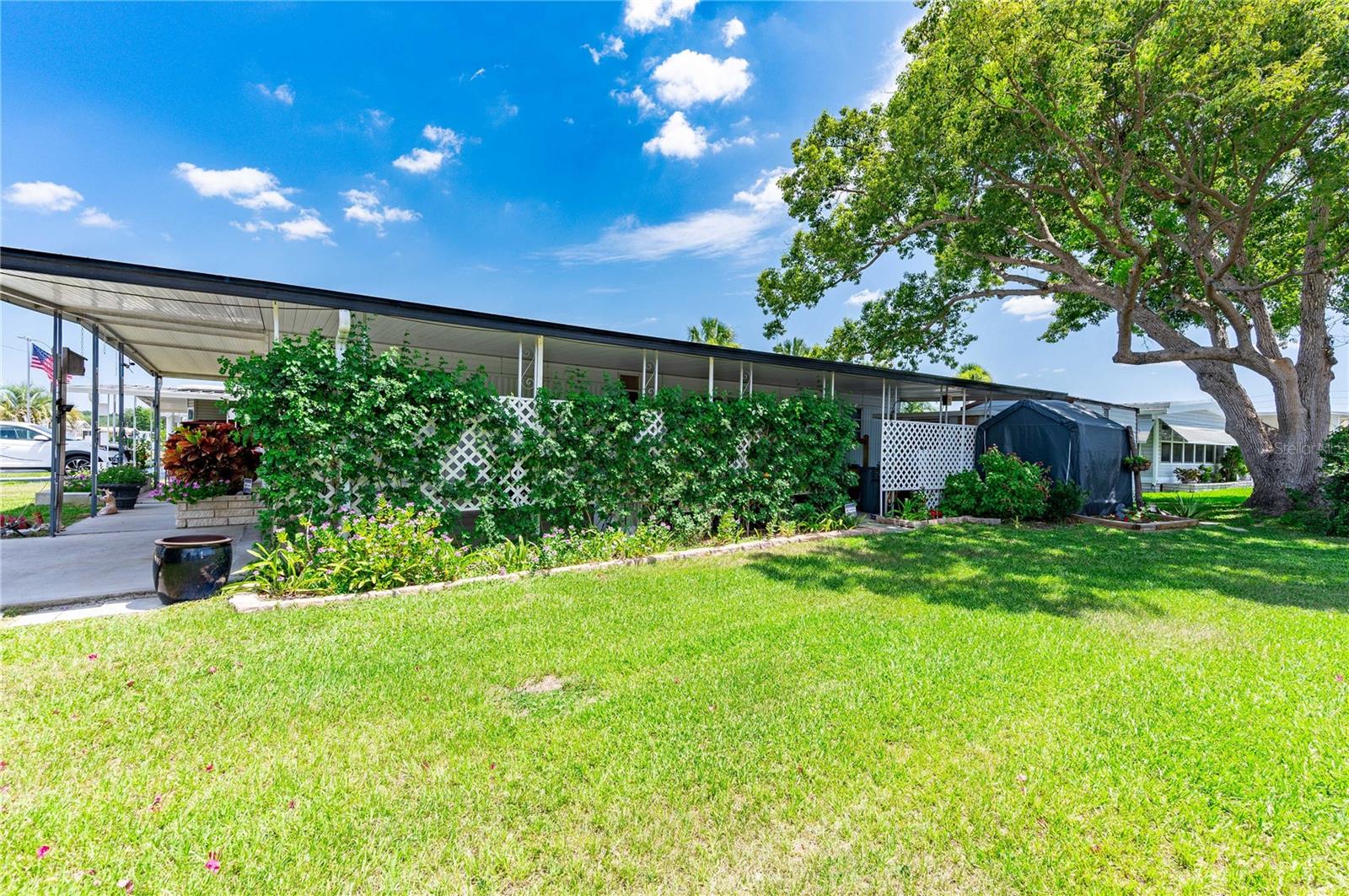 5316 COMANCHE ST, ZEPHYRHILLS, FL, 33542