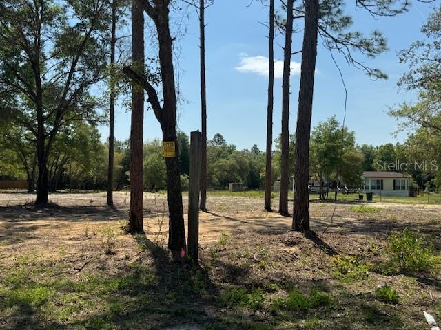 TBD NE 78TH LN, BRONSON, FL, 32621