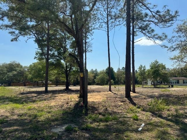 TBD NE 78TH LN, BRONSON, FL, 32621