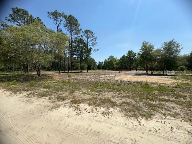 TBD NE 78TH LN, BRONSON, FL, 32621