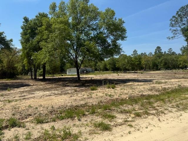 TBD NE 78TH LN, BRONSON, FL, 32621