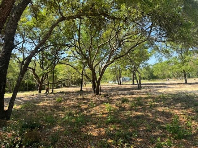 TBD NE 78TH LN, BRONSON, FL, 32621