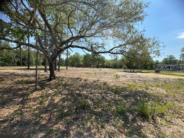 TBD NE 78TH LN, BRONSON, FL, 32621