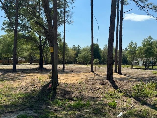 TBD NE 78TH LN, BRONSON, FL, 32621