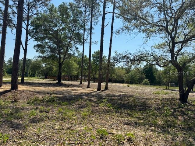 TBD NE 78TH LN, BRONSON, FL, 32621