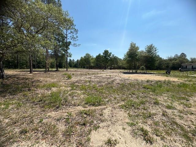 TBD NE 78TH LN, BRONSON, FL, 32621