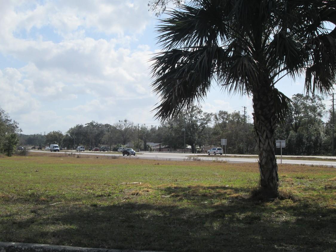 4411 N ORANGE BLOSSOM TRL, MOUNT DORA, FL, 32757