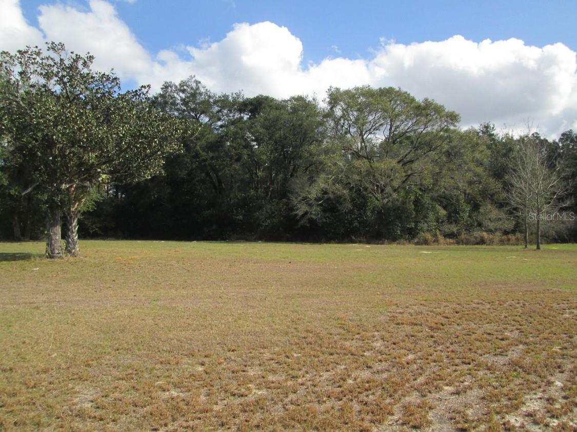4411 N ORANGE BLOSSOM TRL, MOUNT DORA, FL, 32757