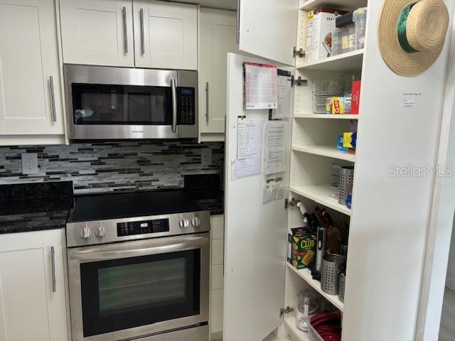 30 TURNER ST #202, CLEARWATER, FL, 33756