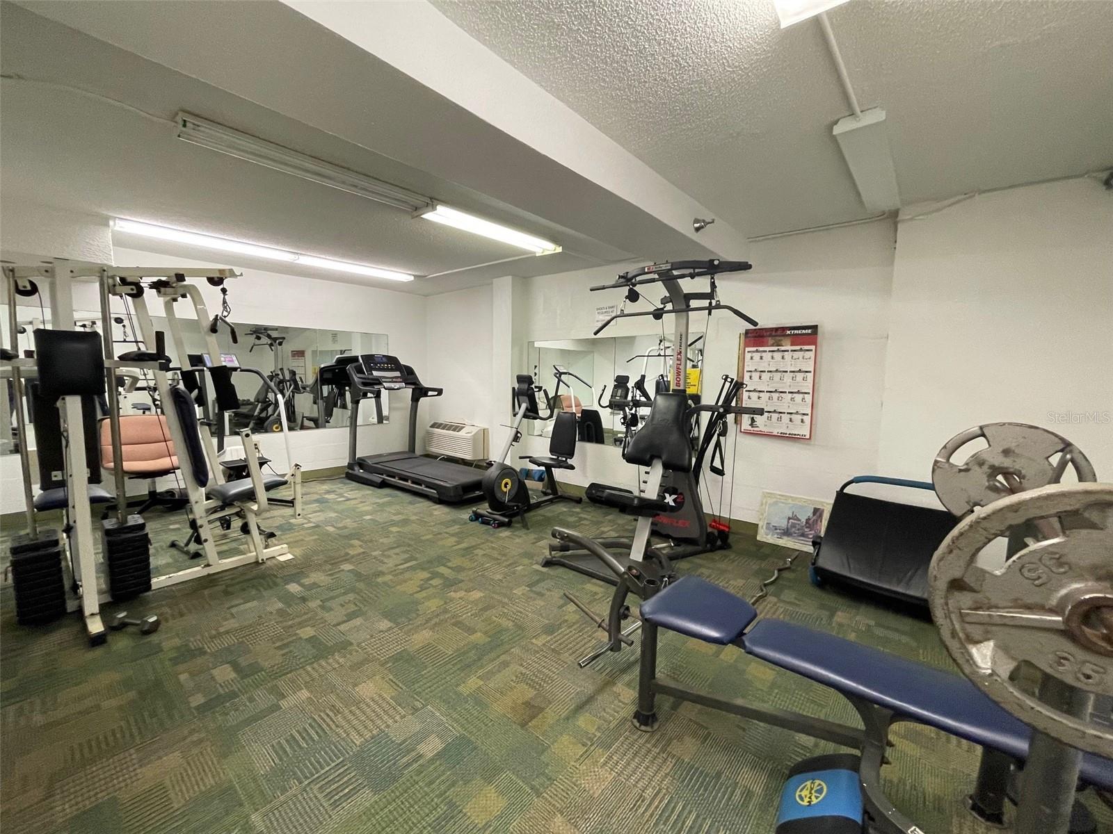 2043 S ATLANTIC AVE #304, DAYTONA BEACH SHORES, FL, 32118