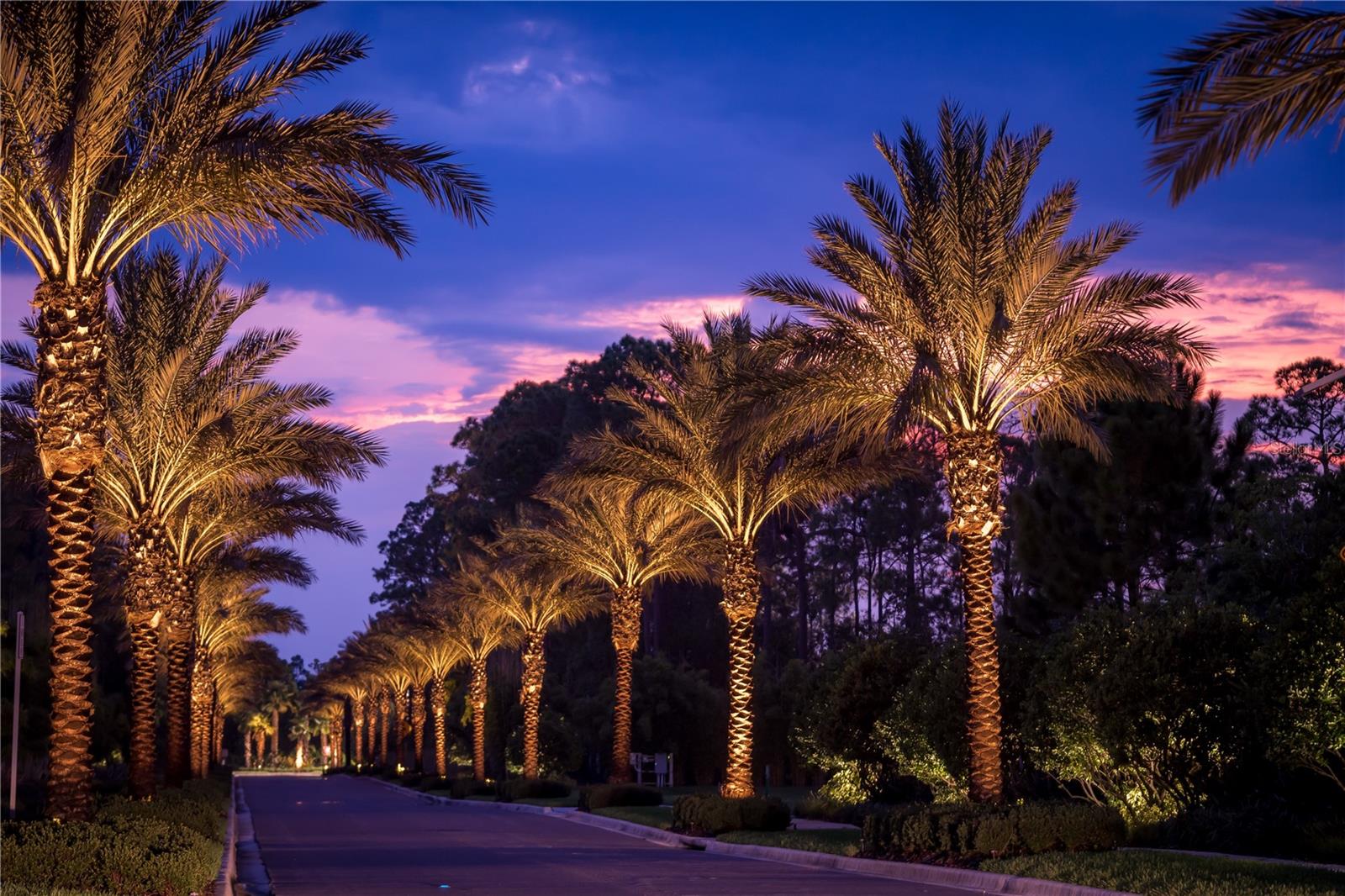 14501 GROVE RESORT AVE #1635, WINTER GARDEN, FL, 34787