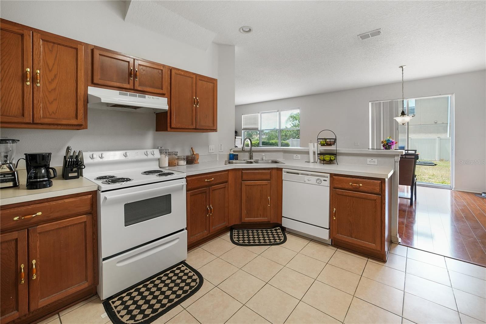 17539 BALMAHA DR, LAND O LAKES, FL, 34638