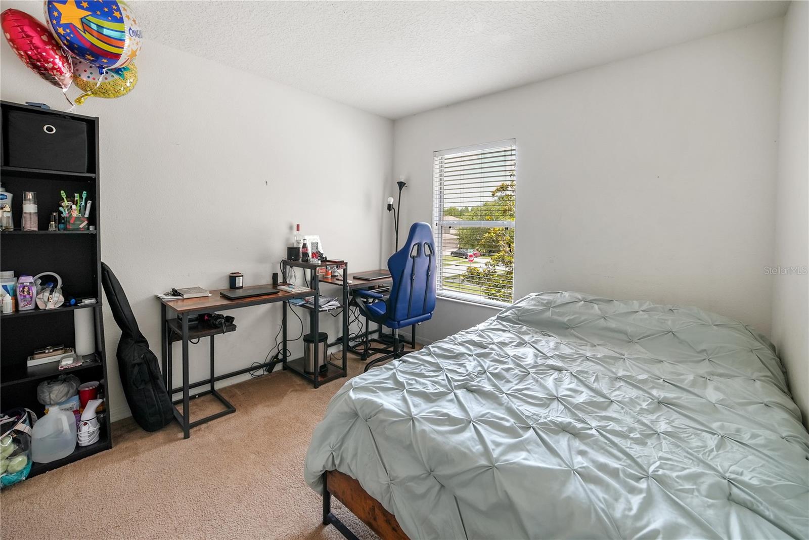 17539 BALMAHA DR, LAND O LAKES, FL, 34638