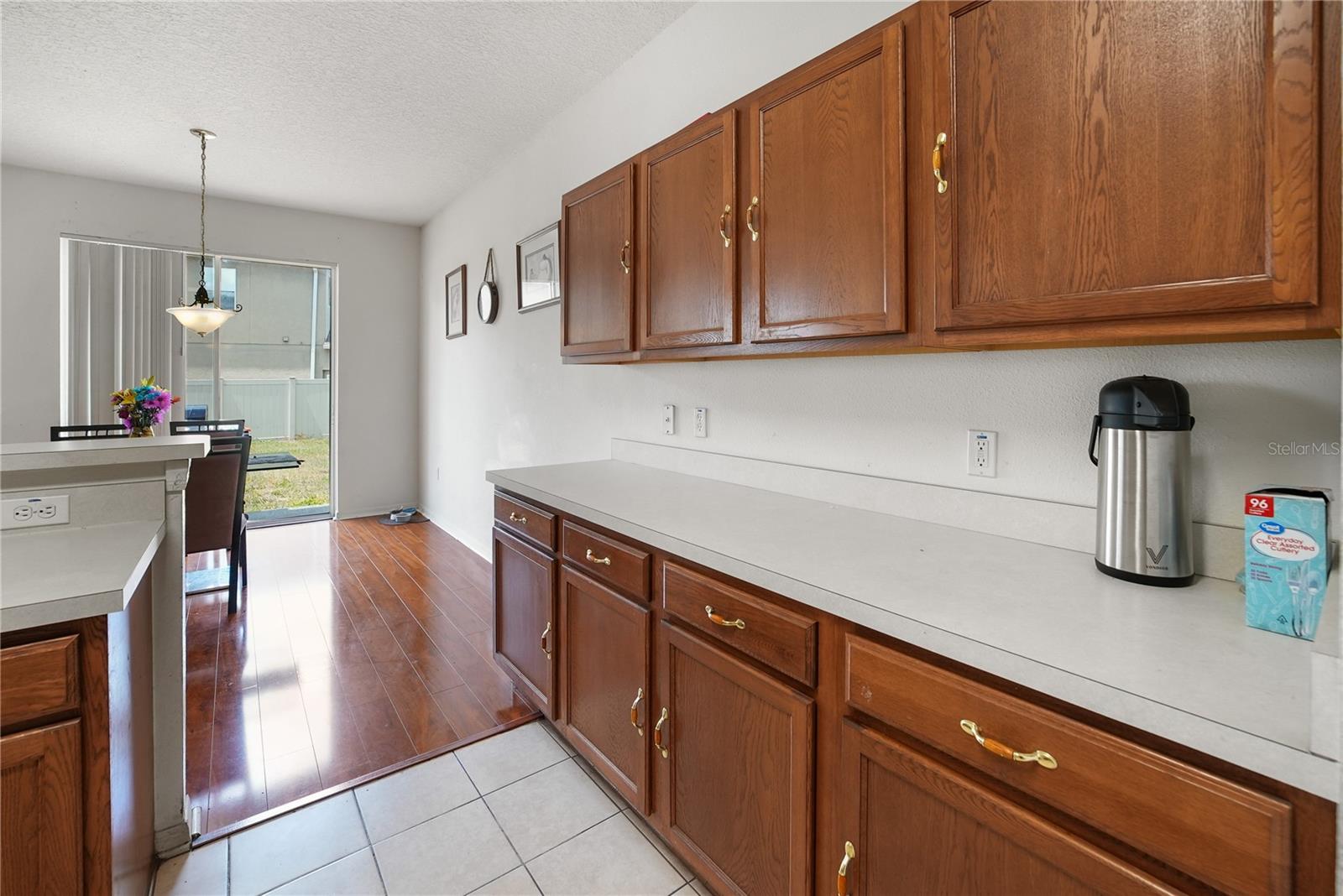 17539 BALMAHA DR, LAND O LAKES, FL, 34638
