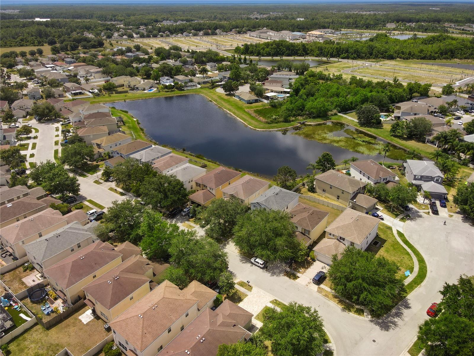 17539 BALMAHA DR, LAND O LAKES, FL, 34638