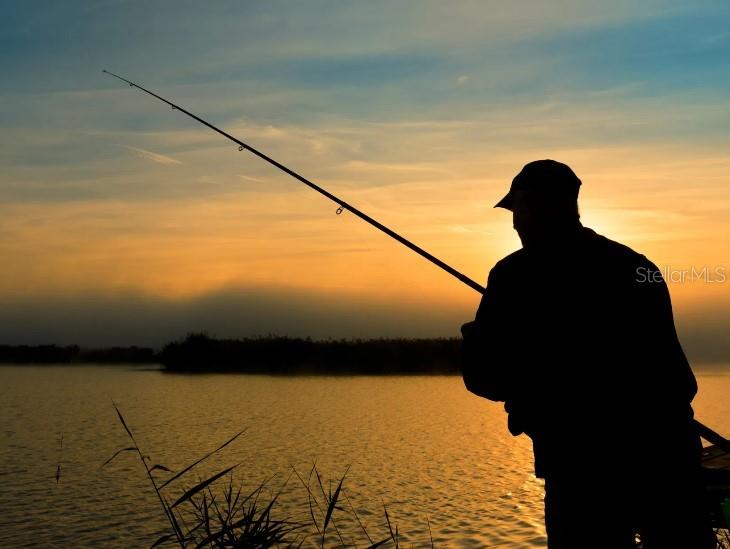 5575 MADDIE DR, HAINES CITY, FL, 33845