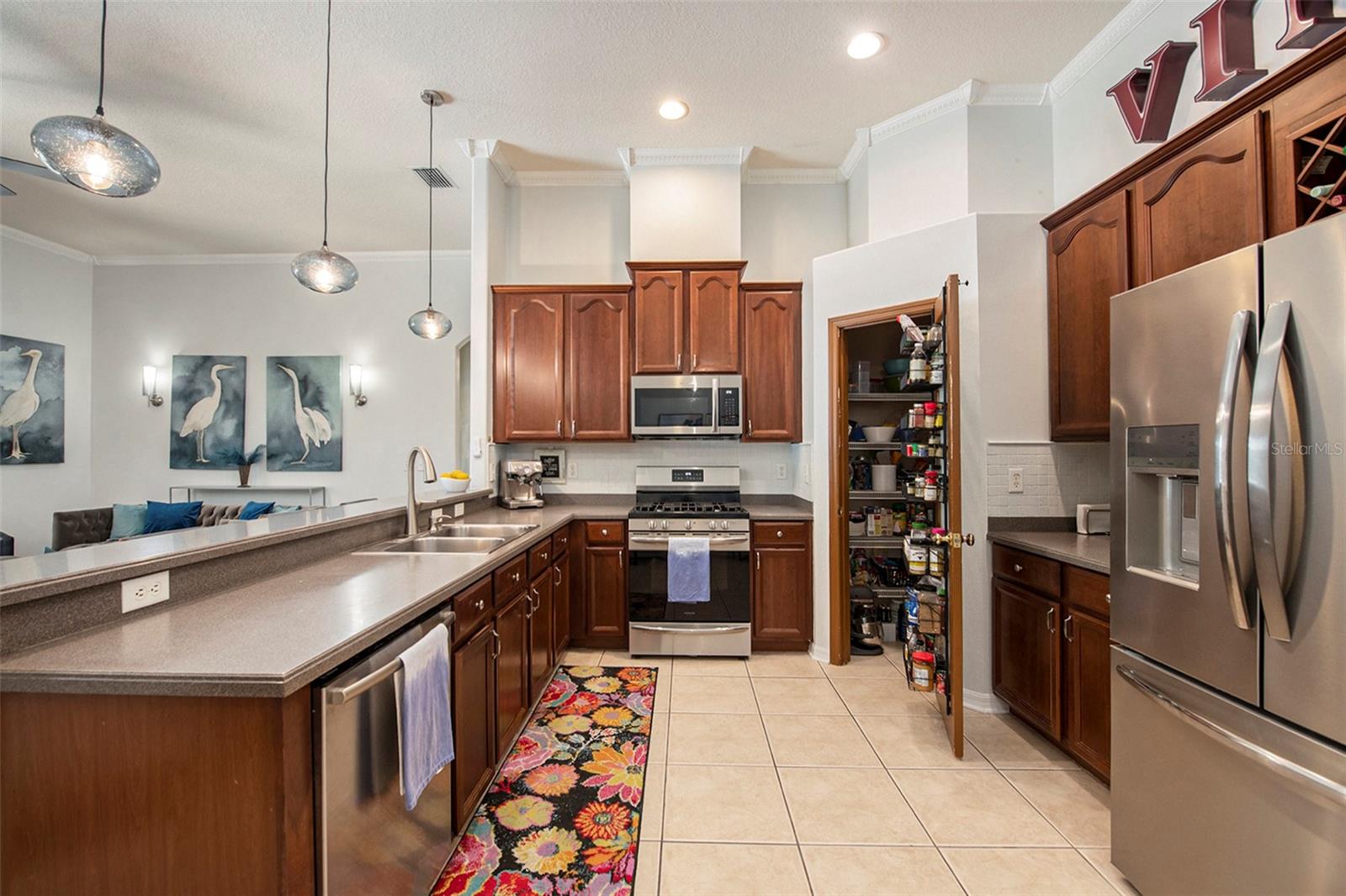 19211 PELICAN RIDGE LN, TAMPA, FL, 33647