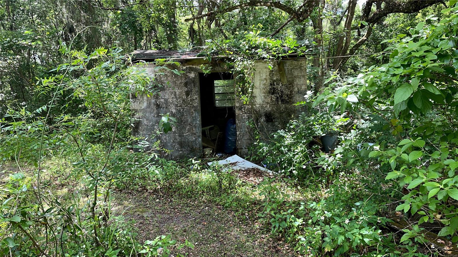 13894 SE HWY 464C, OCKLAWAHA, FL, 32179