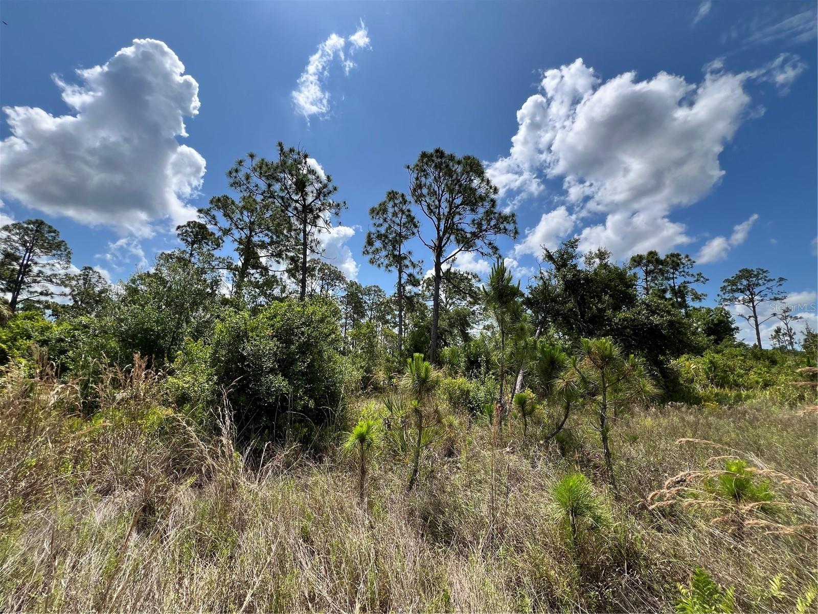 109 HAWKE ST, PORT CHARLOTTE, FL, 33953