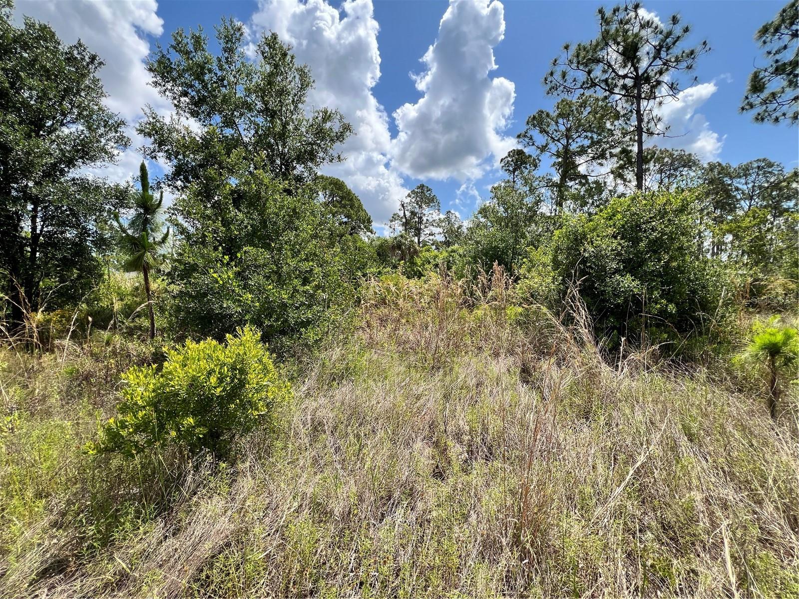 109 HAWKE ST, PORT CHARLOTTE, FL, 33953