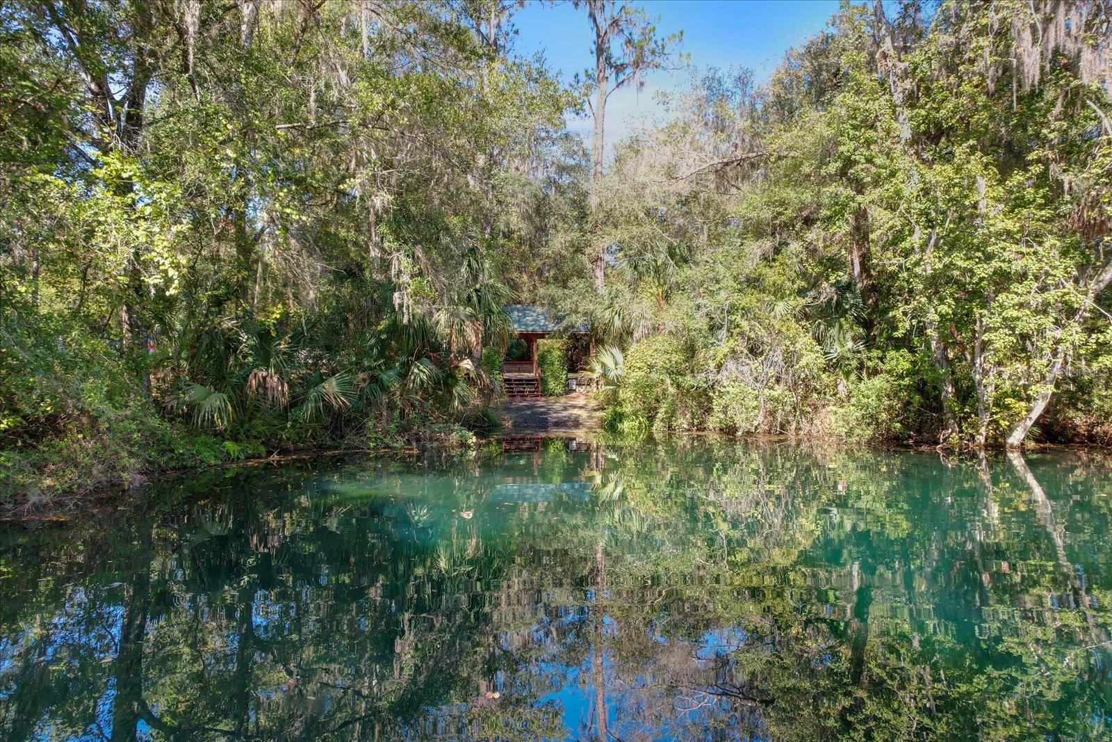 8975 SW 202ND AVENUE RD, DUNNELLON, FL, 34431