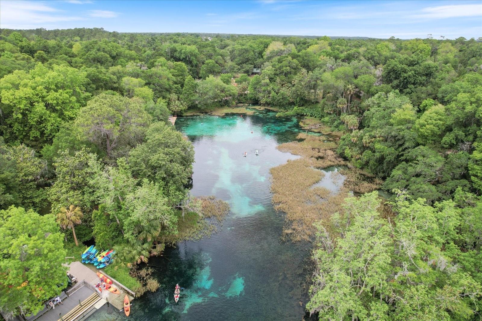 8975 SW 202ND AVENUE RD, DUNNELLON, FL, 34431