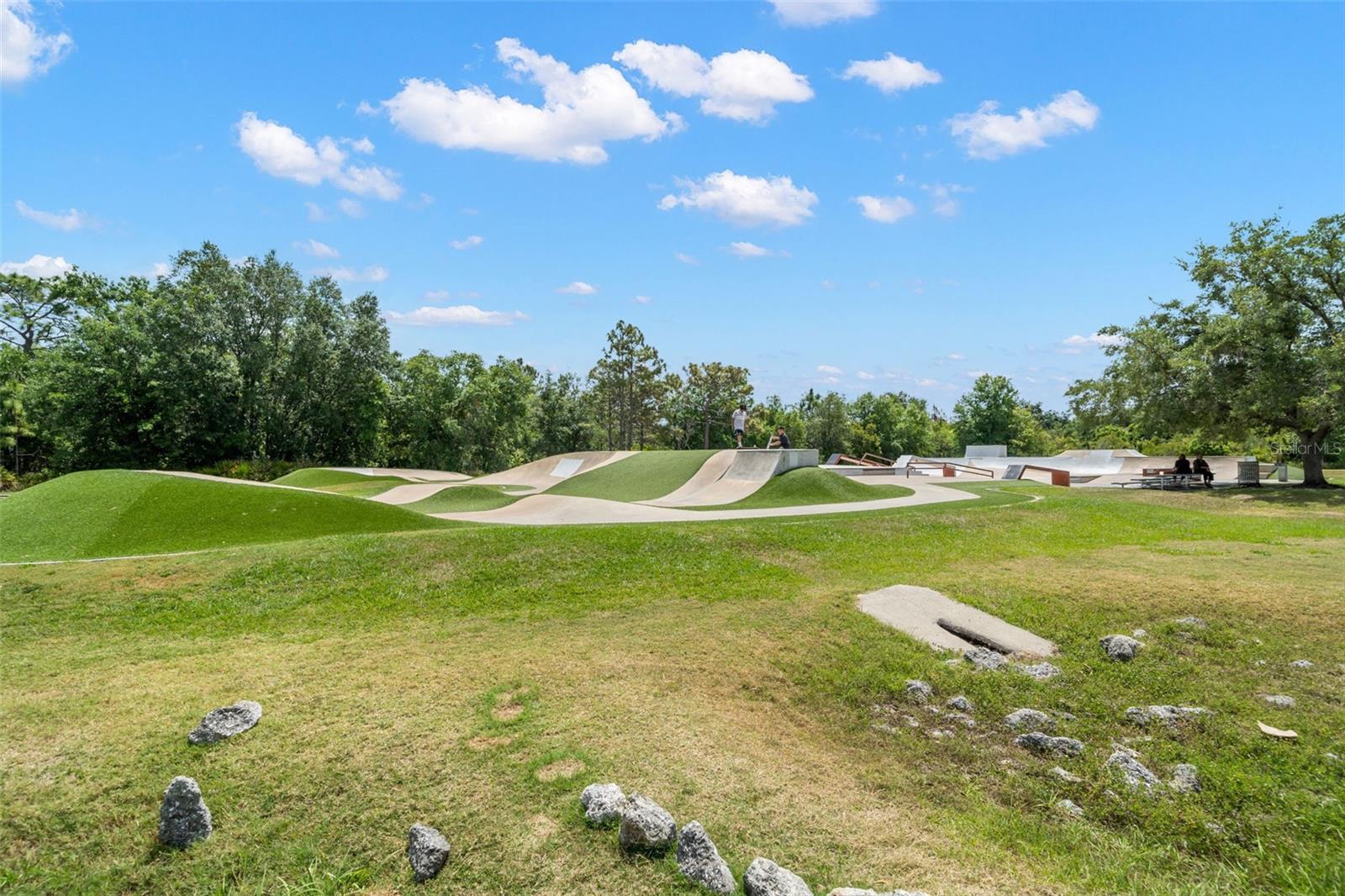 15921 SORAWATER DR, LITHIA, FL, 33547