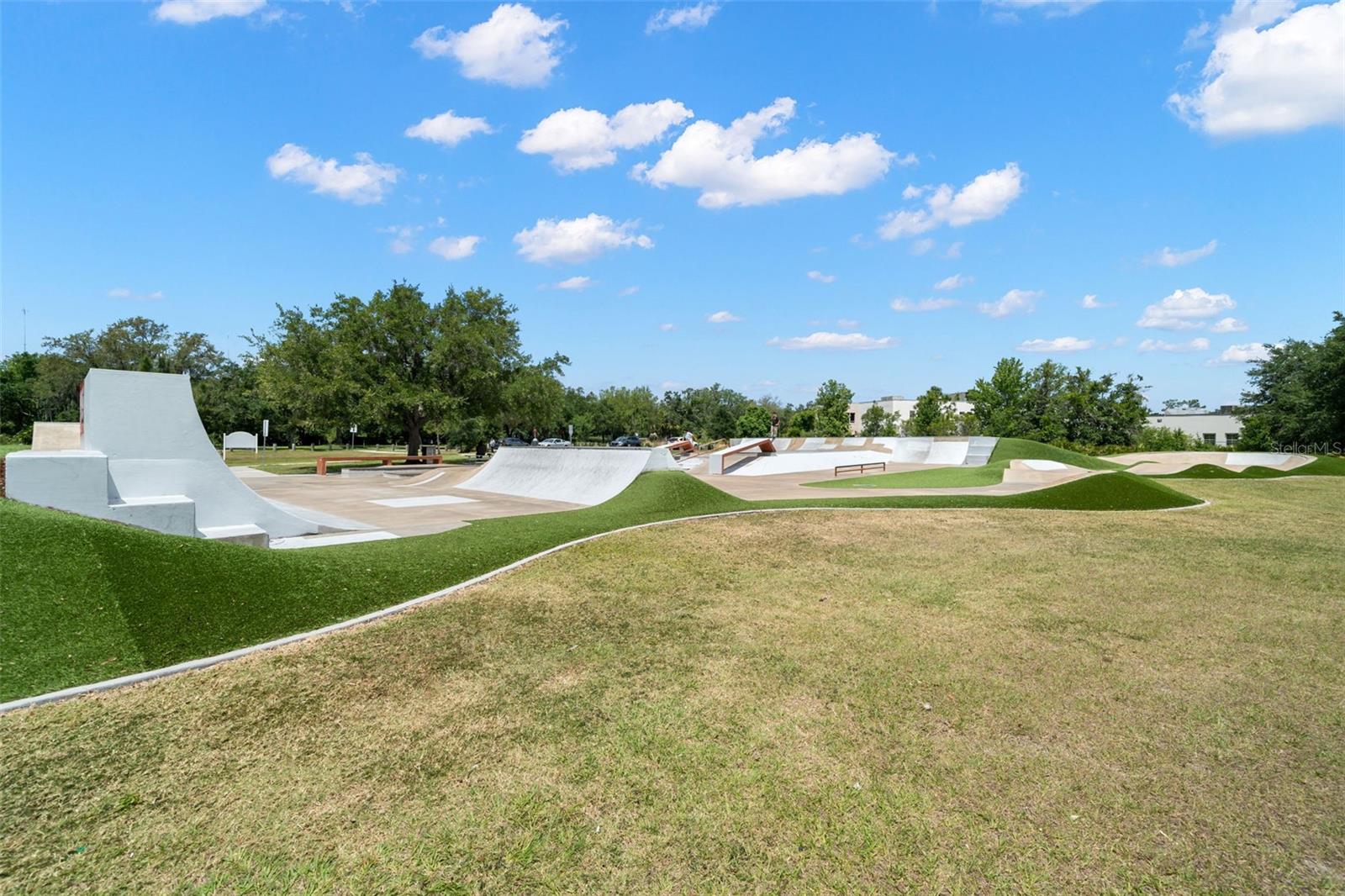 15921 SORAWATER DR, LITHIA, FL, 33547