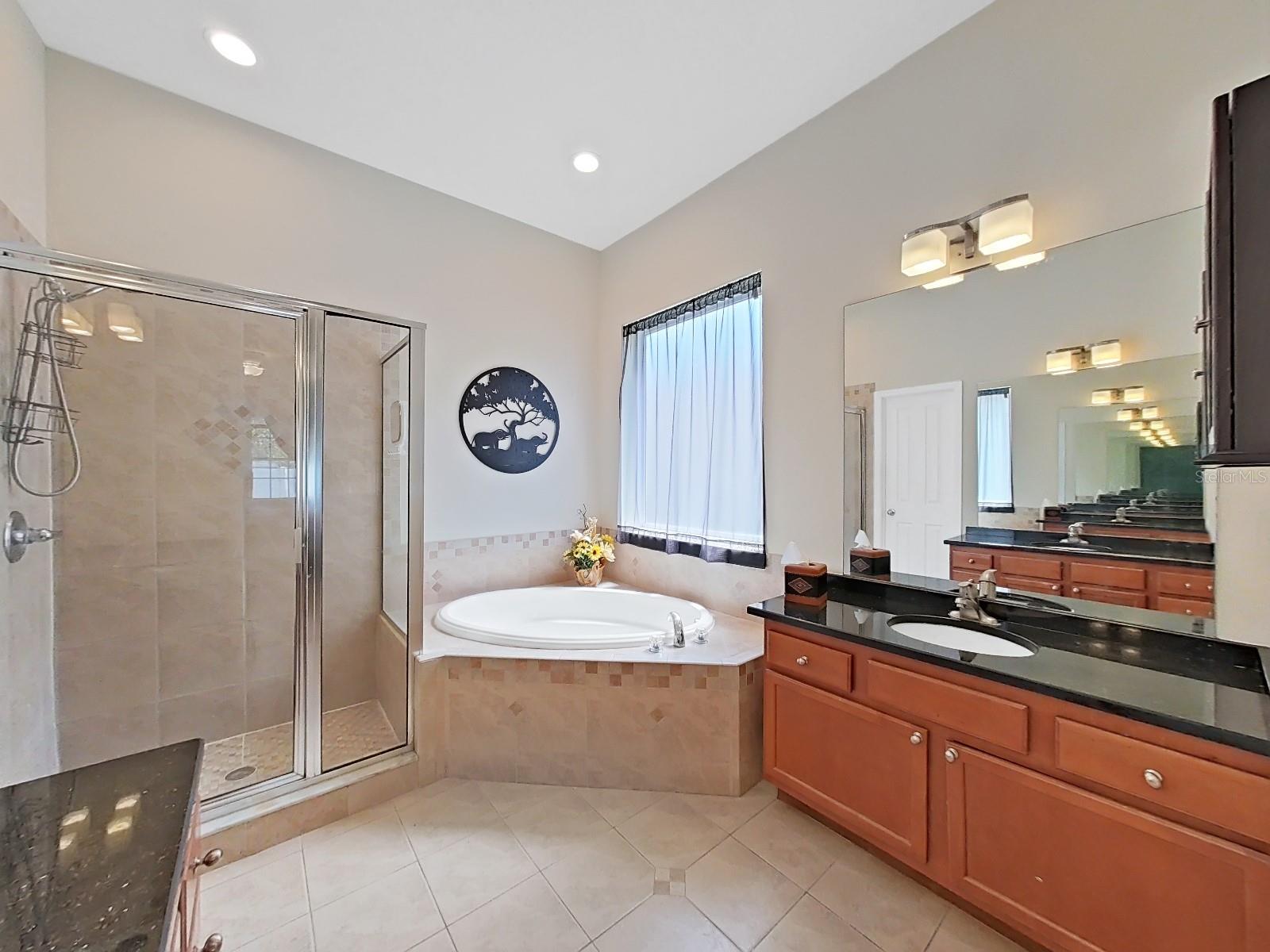 11329 SOUTHWIND LAKE DR, GIBSONTON, FL, 33534