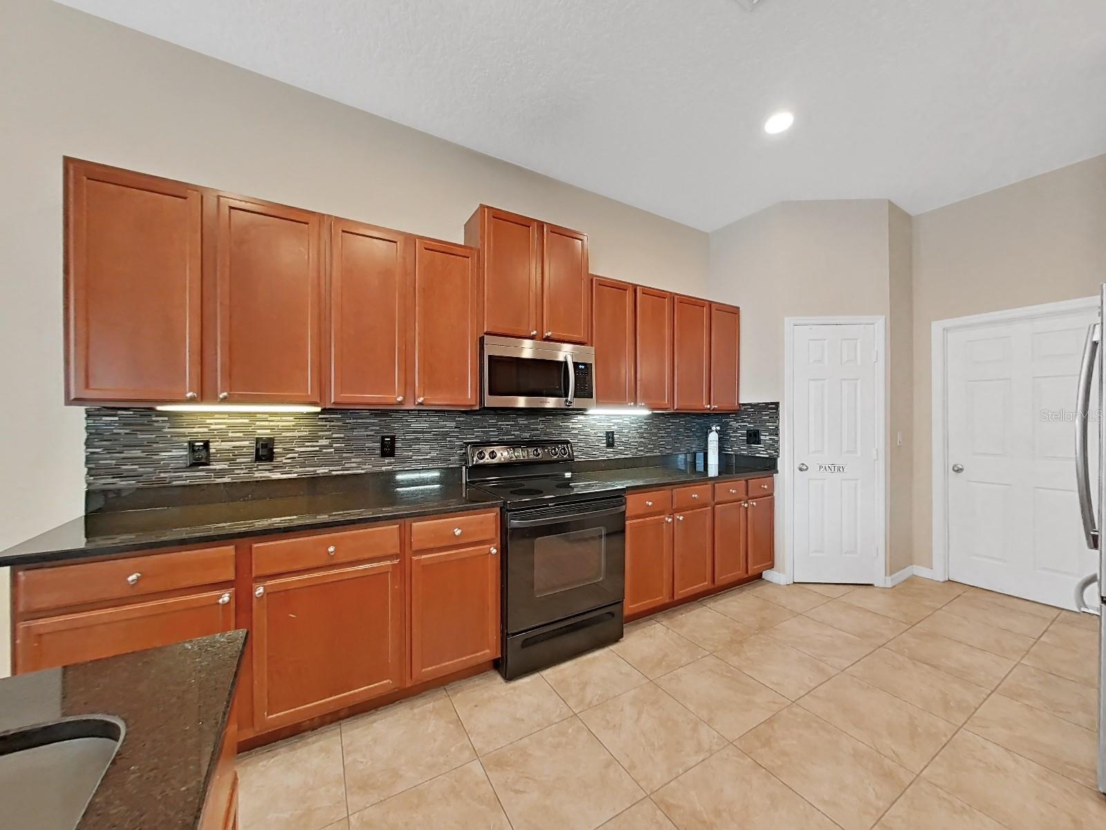 11329 SOUTHWIND LAKE DR, GIBSONTON, FL, 33534
