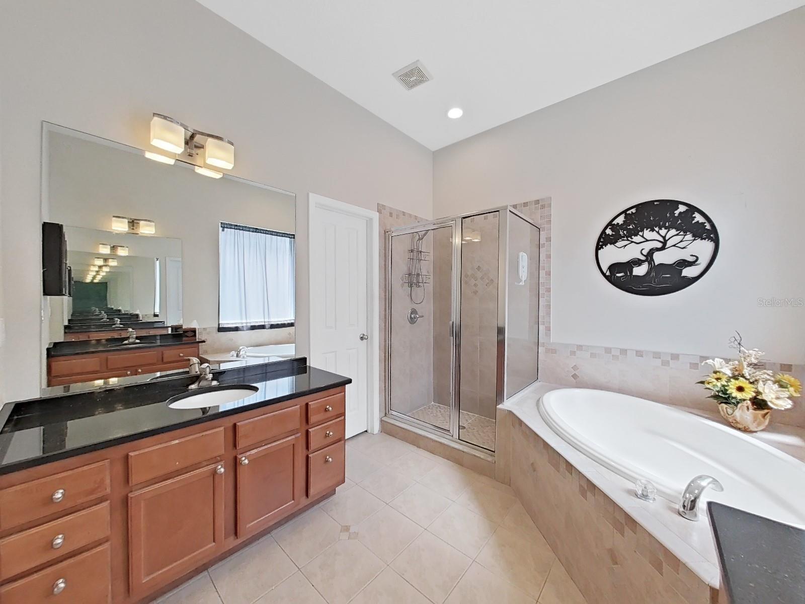 11329 SOUTHWIND LAKE DR, GIBSONTON, FL, 33534