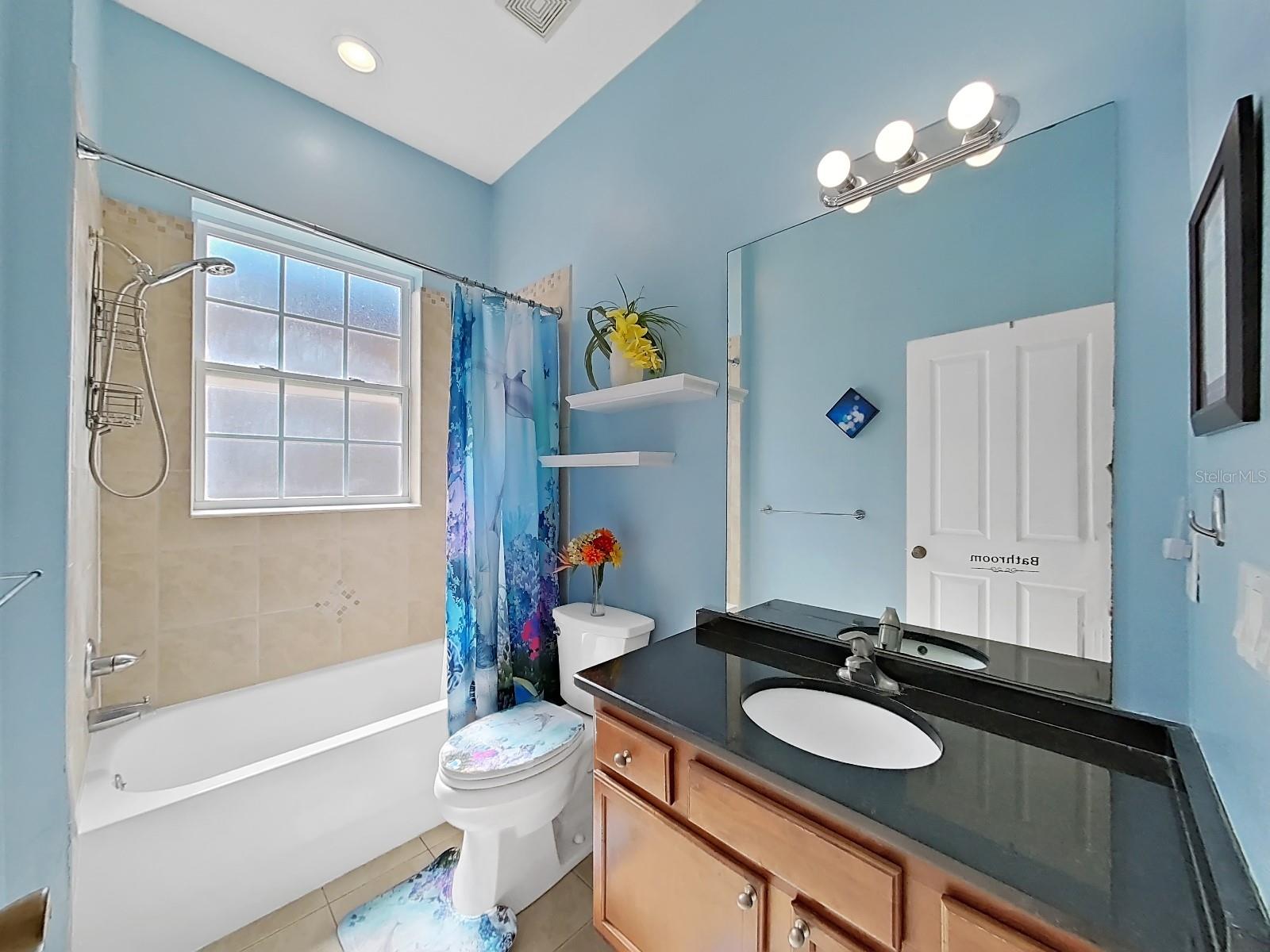 11329 SOUTHWIND LAKE DR, GIBSONTON, FL, 33534