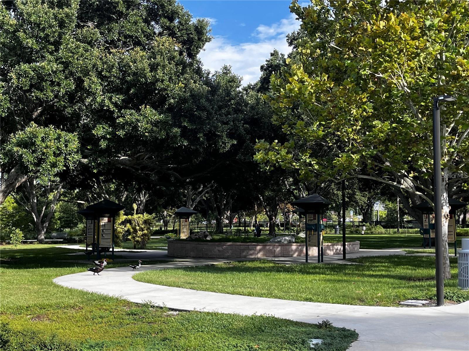 1656 DARTMOUTH ST, CLEARWATER, FL, 33755