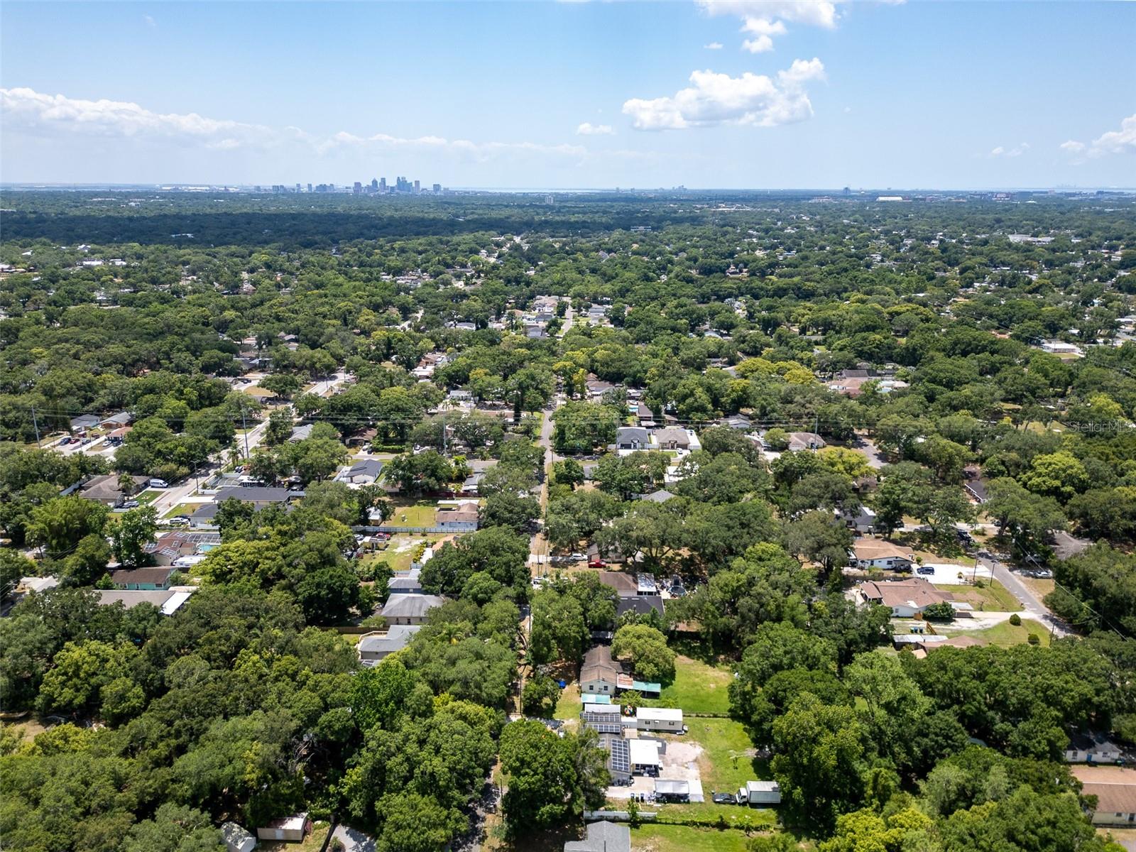 8130 N PACKWOOD AVE, TAMPA, FL, 33604