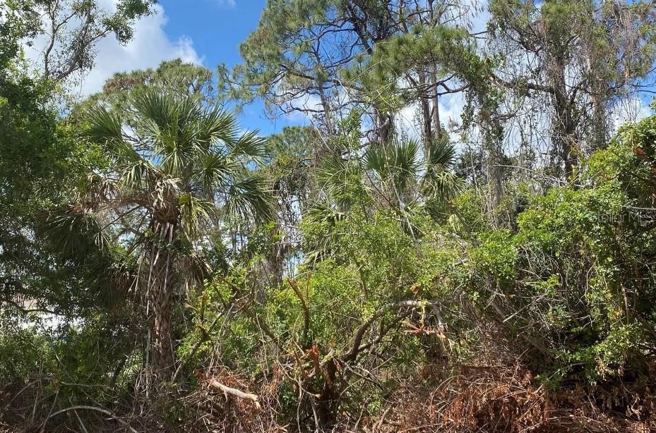 18290 EBLIS AVE, PORT CHARLOTTE, FL, 33948