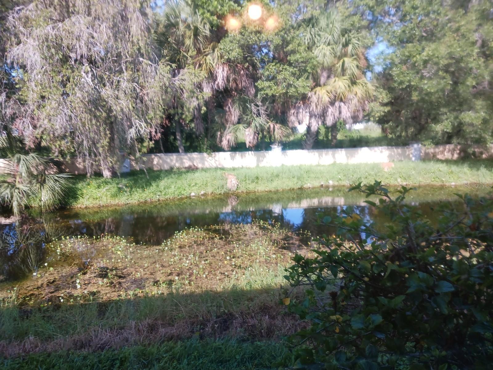 2411 ASPINWALL ST #2411, SARASOTA, FL, 34237