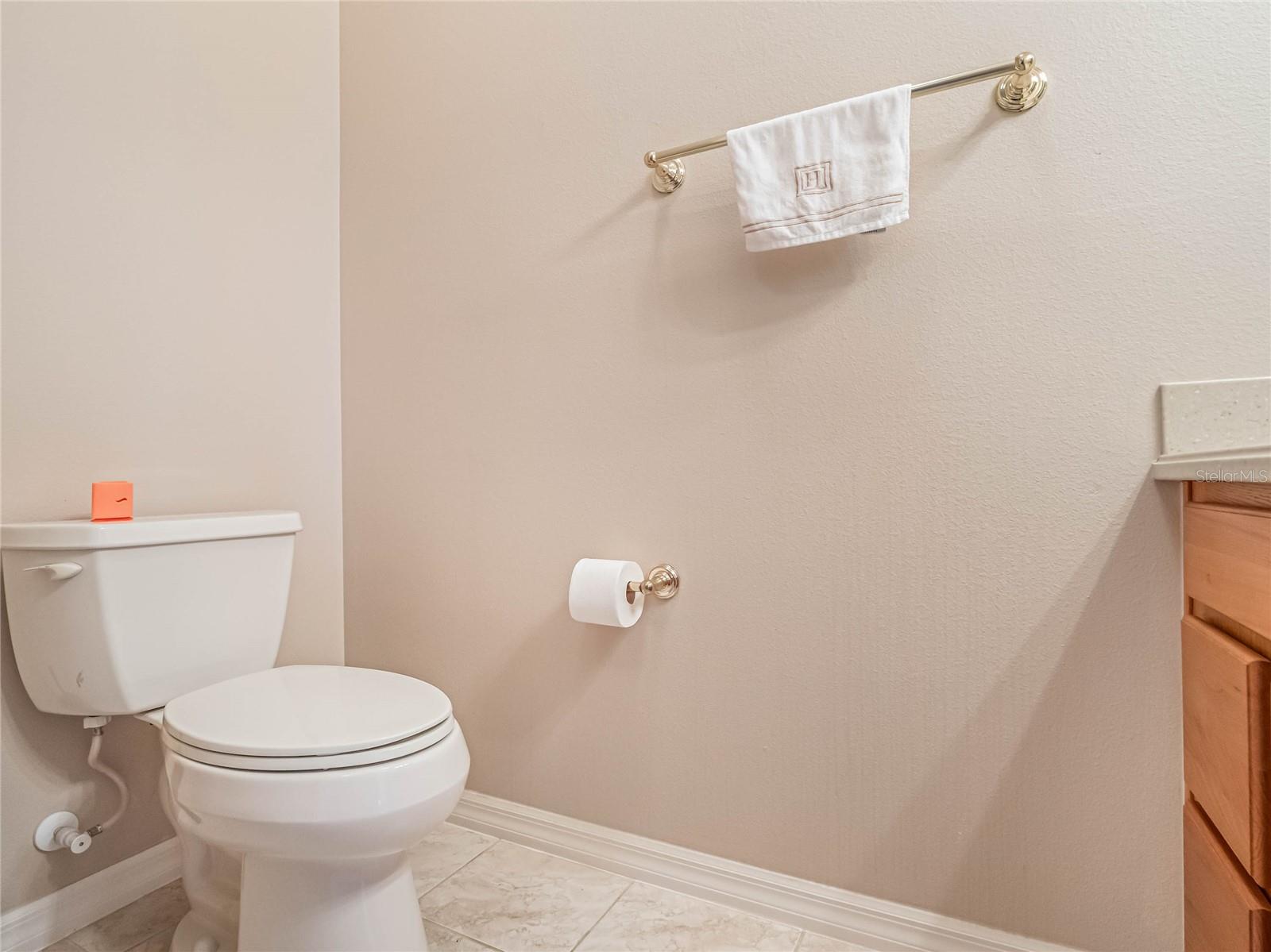 929 TALAPIA LOOP, THE VILLAGES, FL, 32162