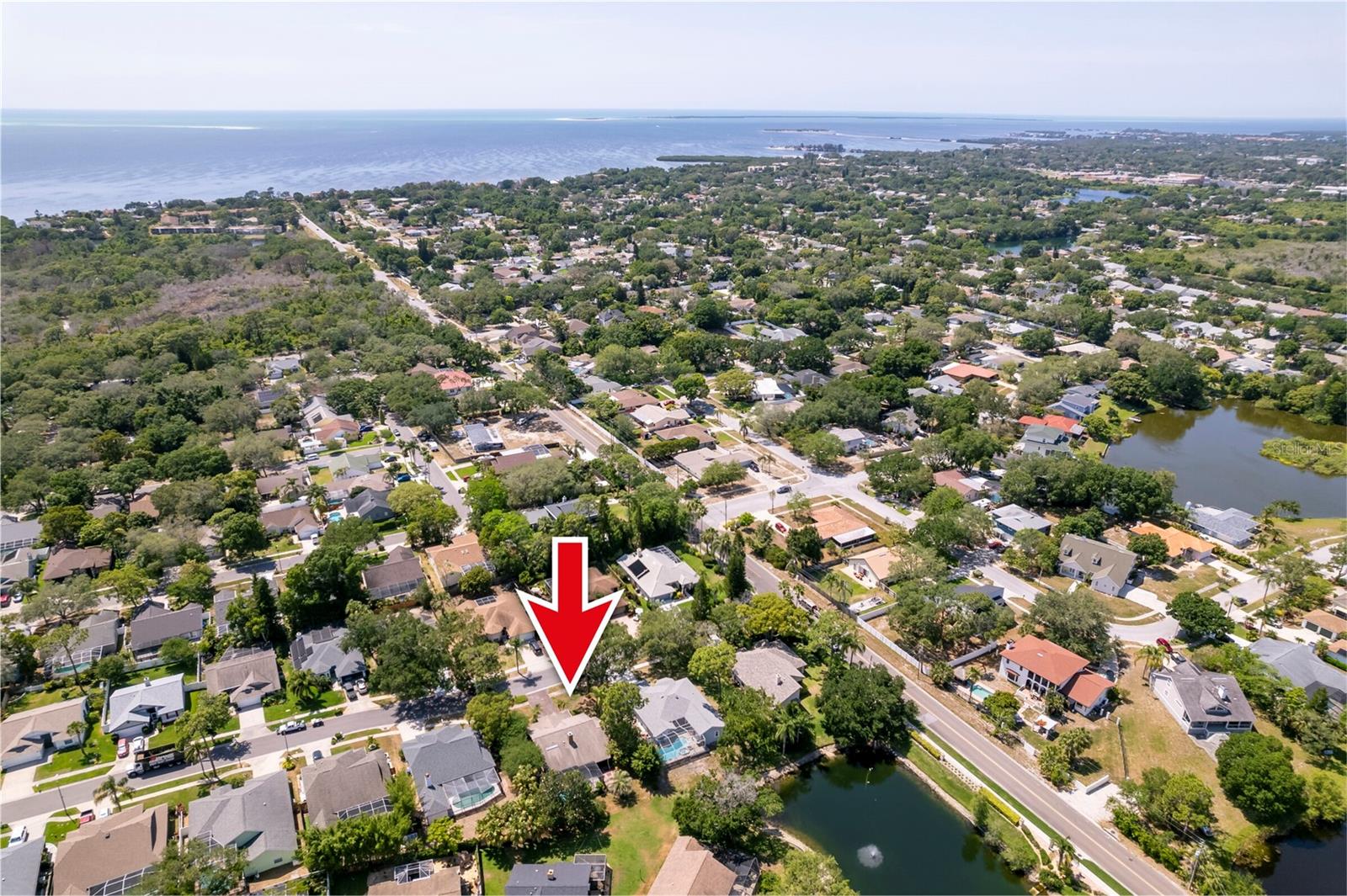 1637 PALOMINO DR, TARPON SPRINGS, FL, 34689