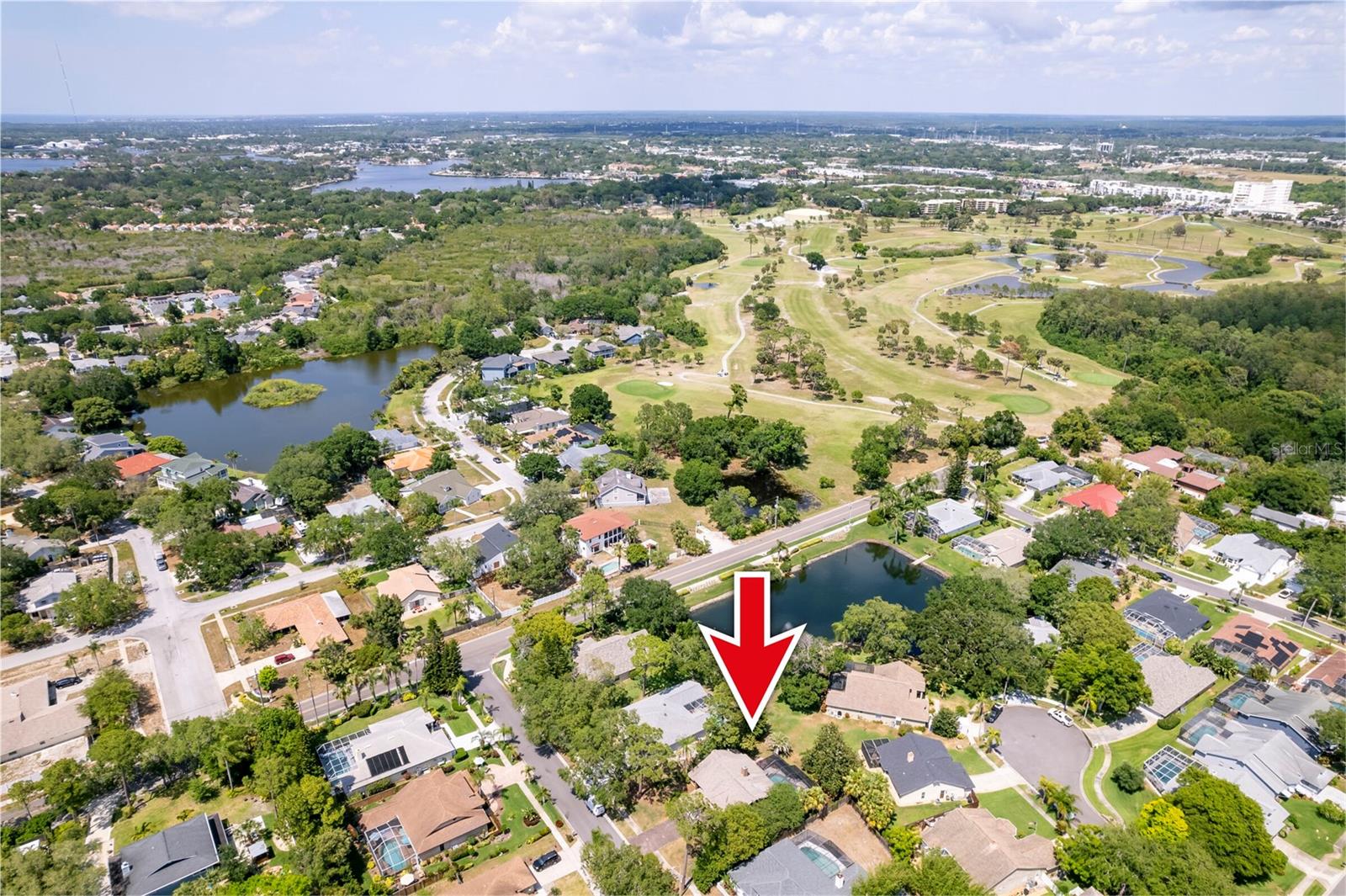 1637 PALOMINO DR, TARPON SPRINGS, FL, 34689