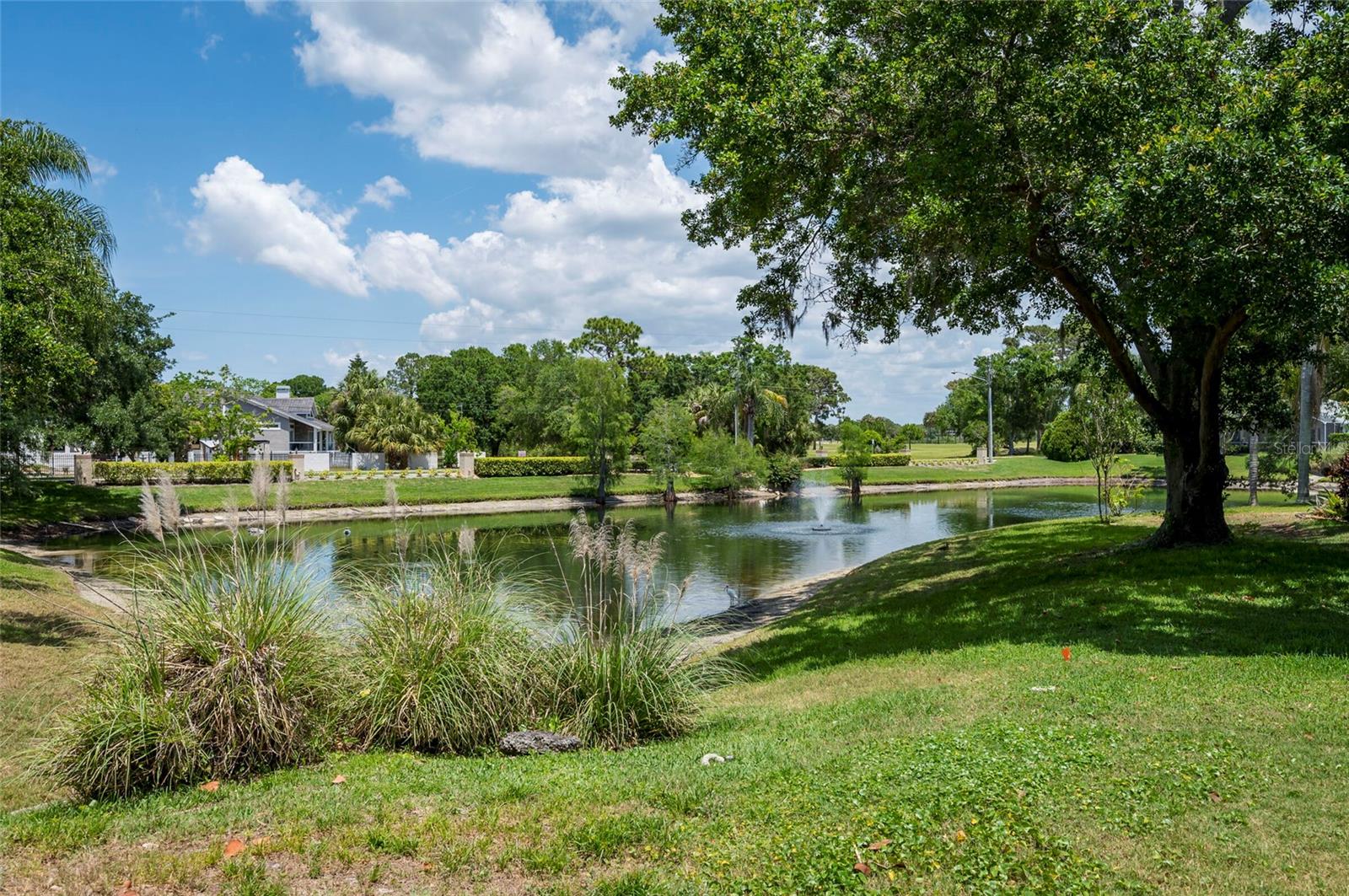 1637 PALOMINO DR, TARPON SPRINGS, FL, 34689