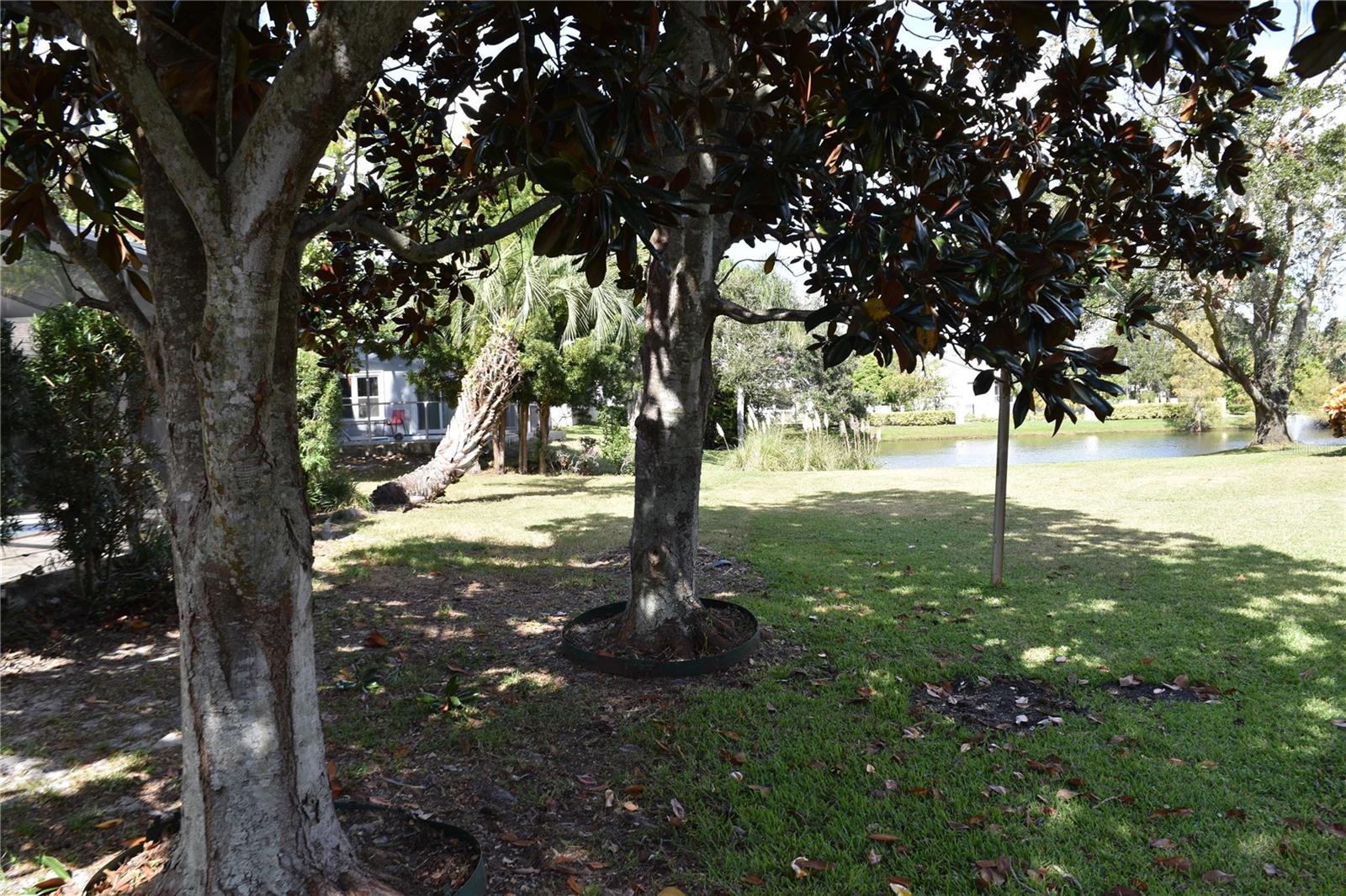 1637 PALOMINO DR, TARPON SPRINGS, FL, 34689