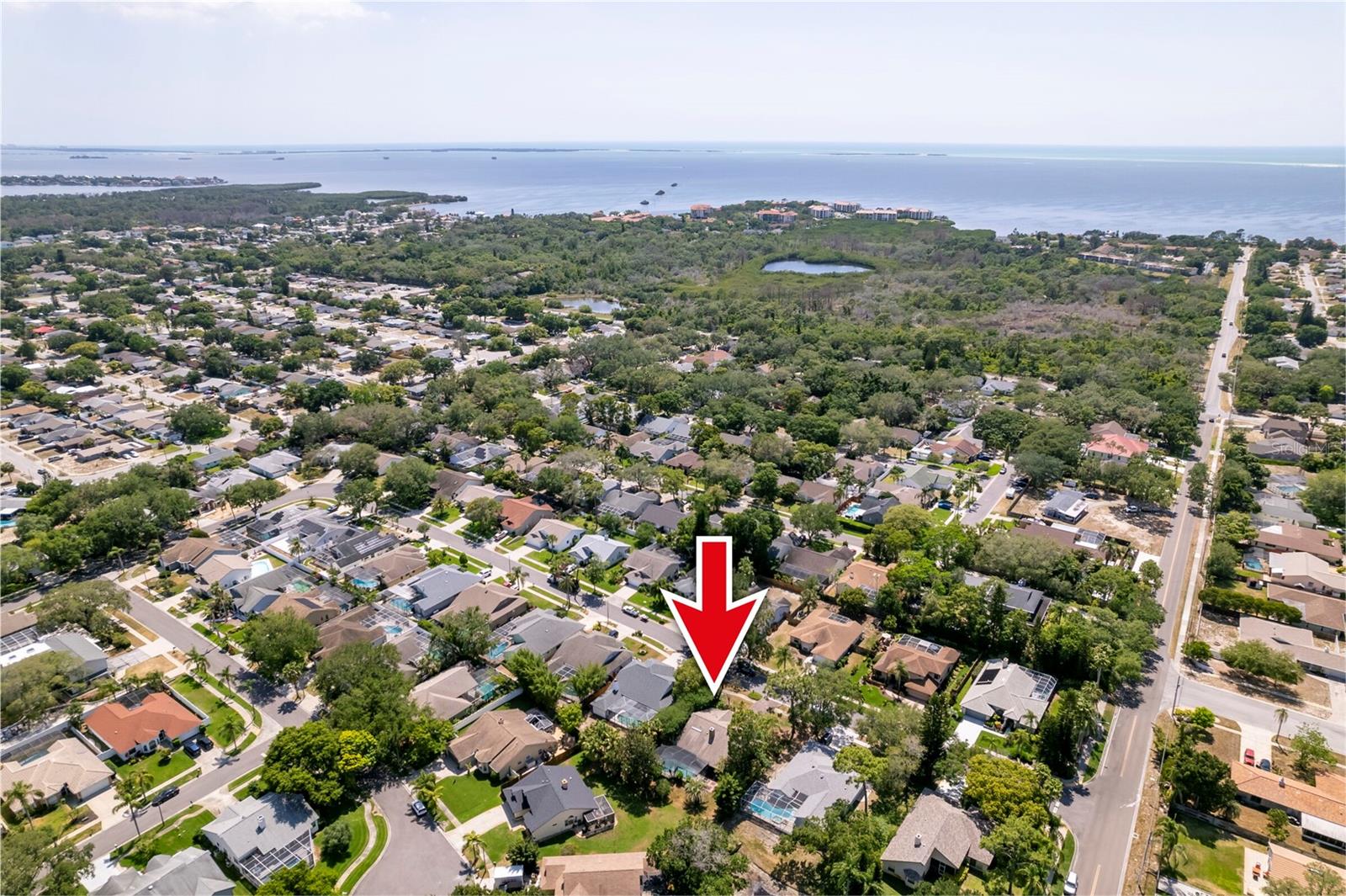 1637 PALOMINO DR, TARPON SPRINGS, FL, 34689