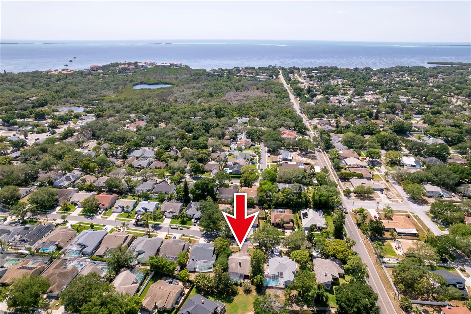 1637 PALOMINO DR, TARPON SPRINGS, FL, 34689
