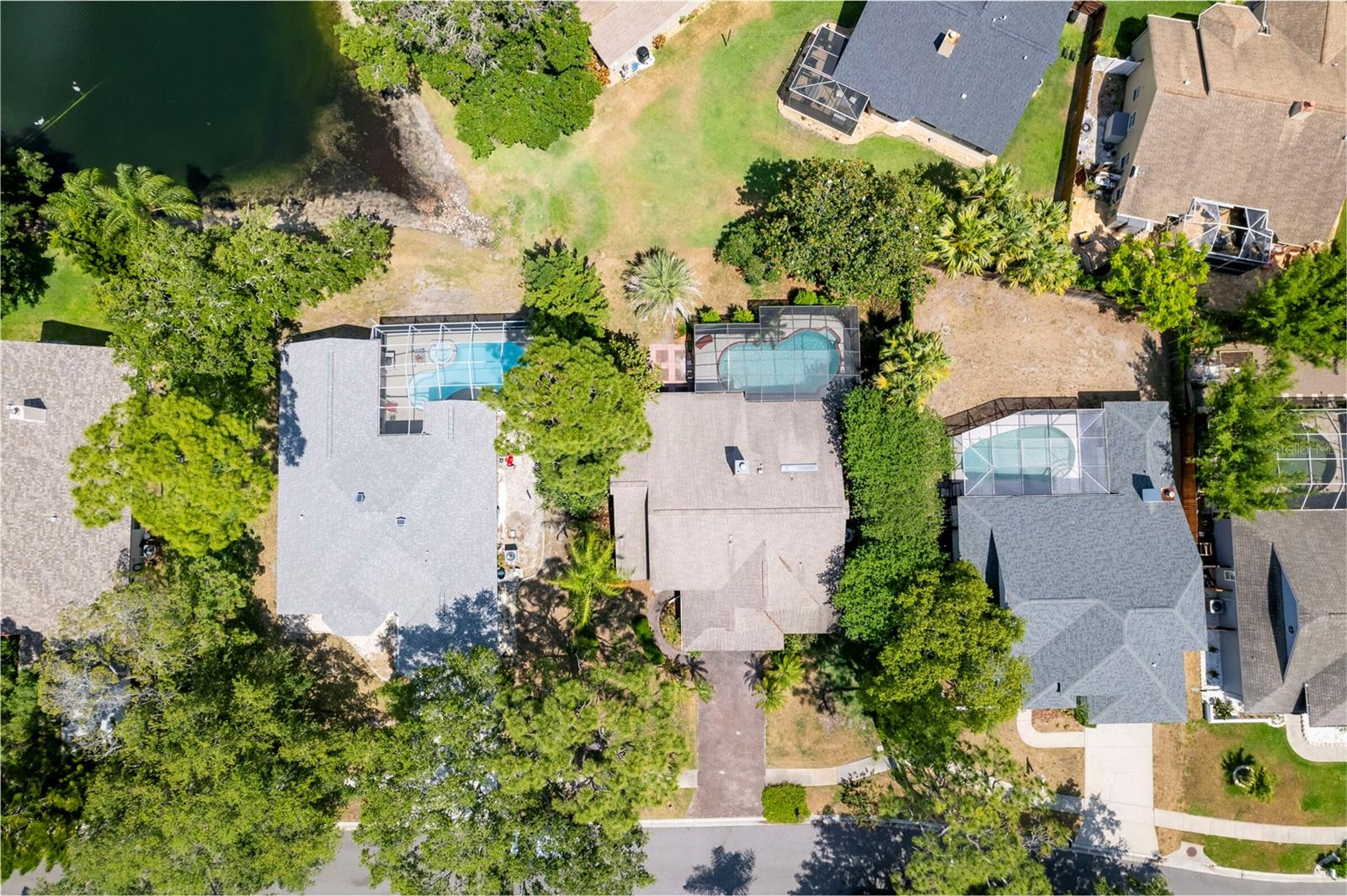1637 PALOMINO DR, TARPON SPRINGS, FL, 34689