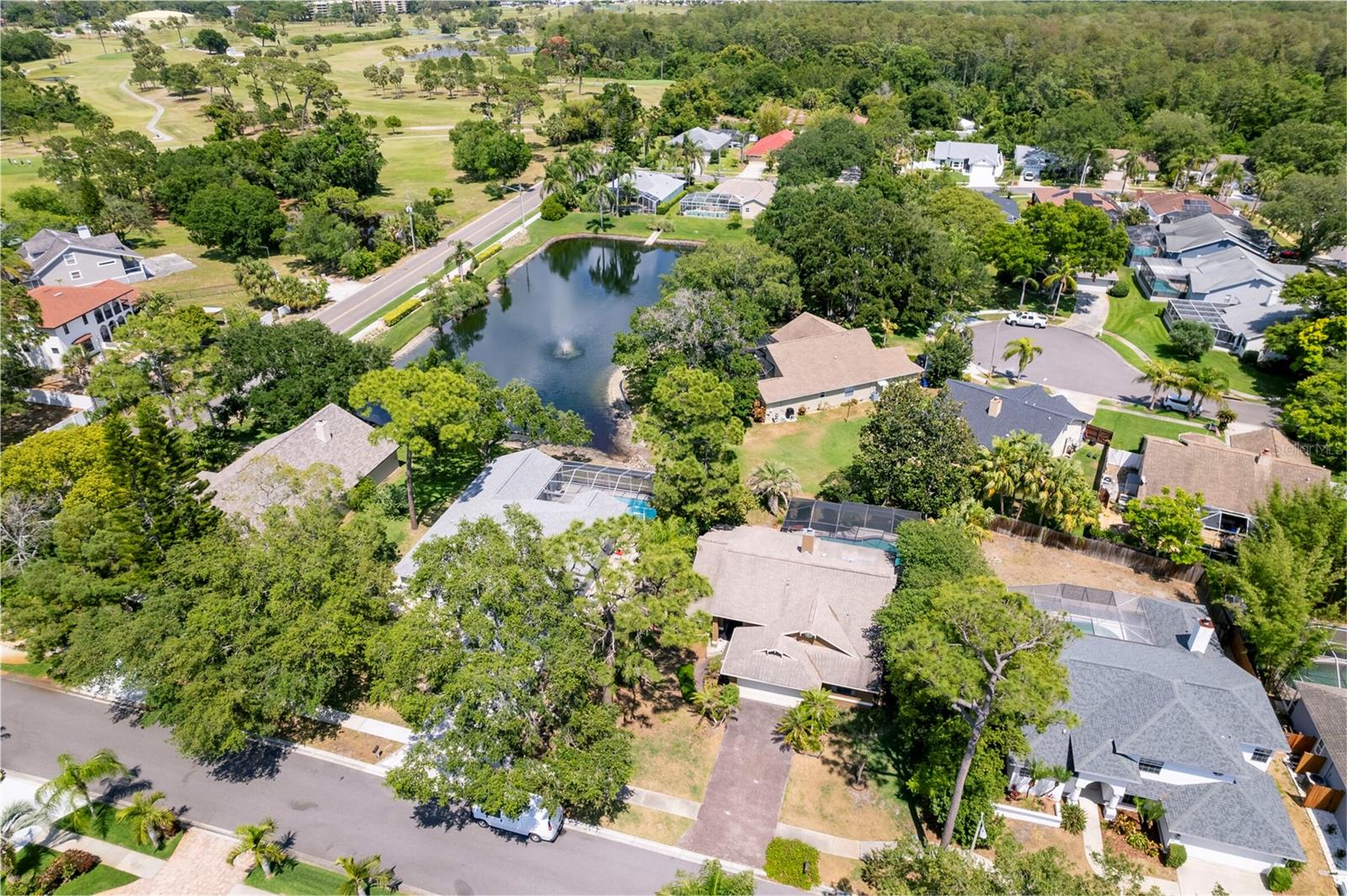 1637 PALOMINO DR, TARPON SPRINGS, FL, 34689