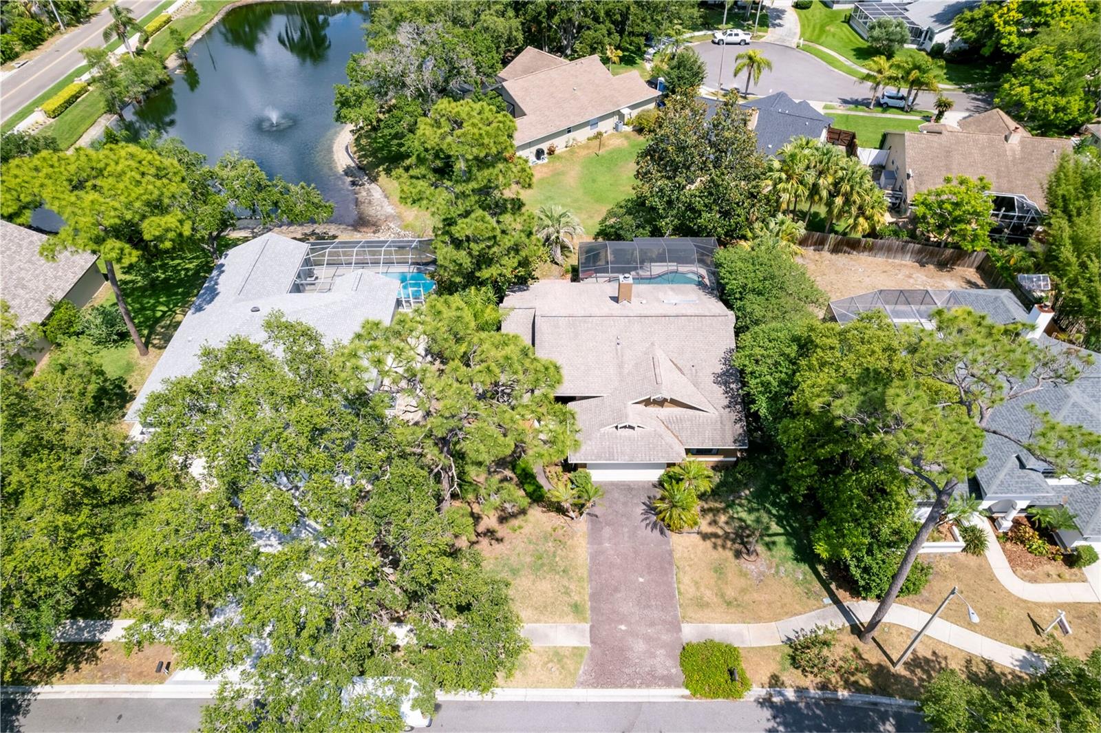 1637 PALOMINO DR, TARPON SPRINGS, FL, 34689