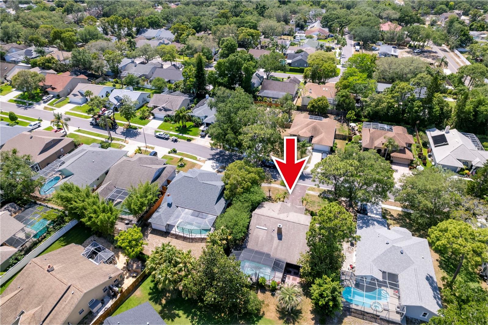 1637 PALOMINO DR, TARPON SPRINGS, FL, 34689
