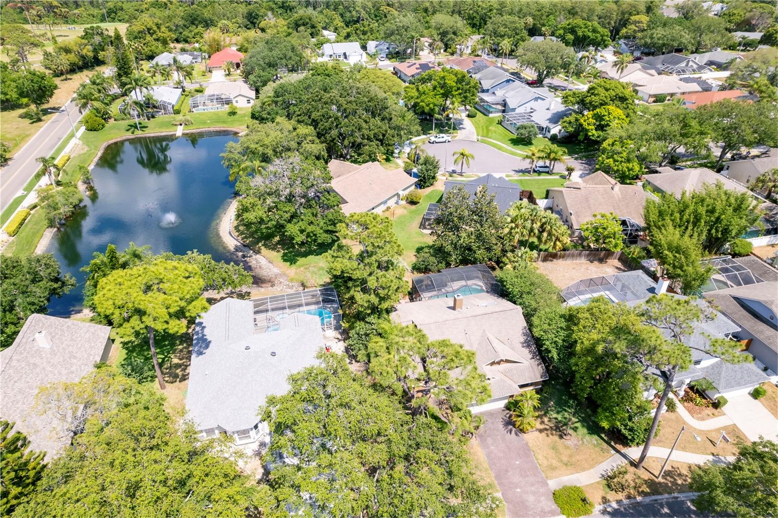 1637 PALOMINO DR, TARPON SPRINGS, FL, 34689