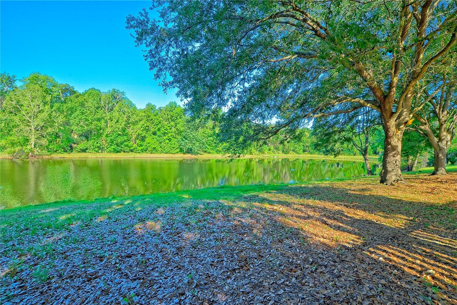 1901 AQUARIUS CT, OVIEDO, FL, 32766