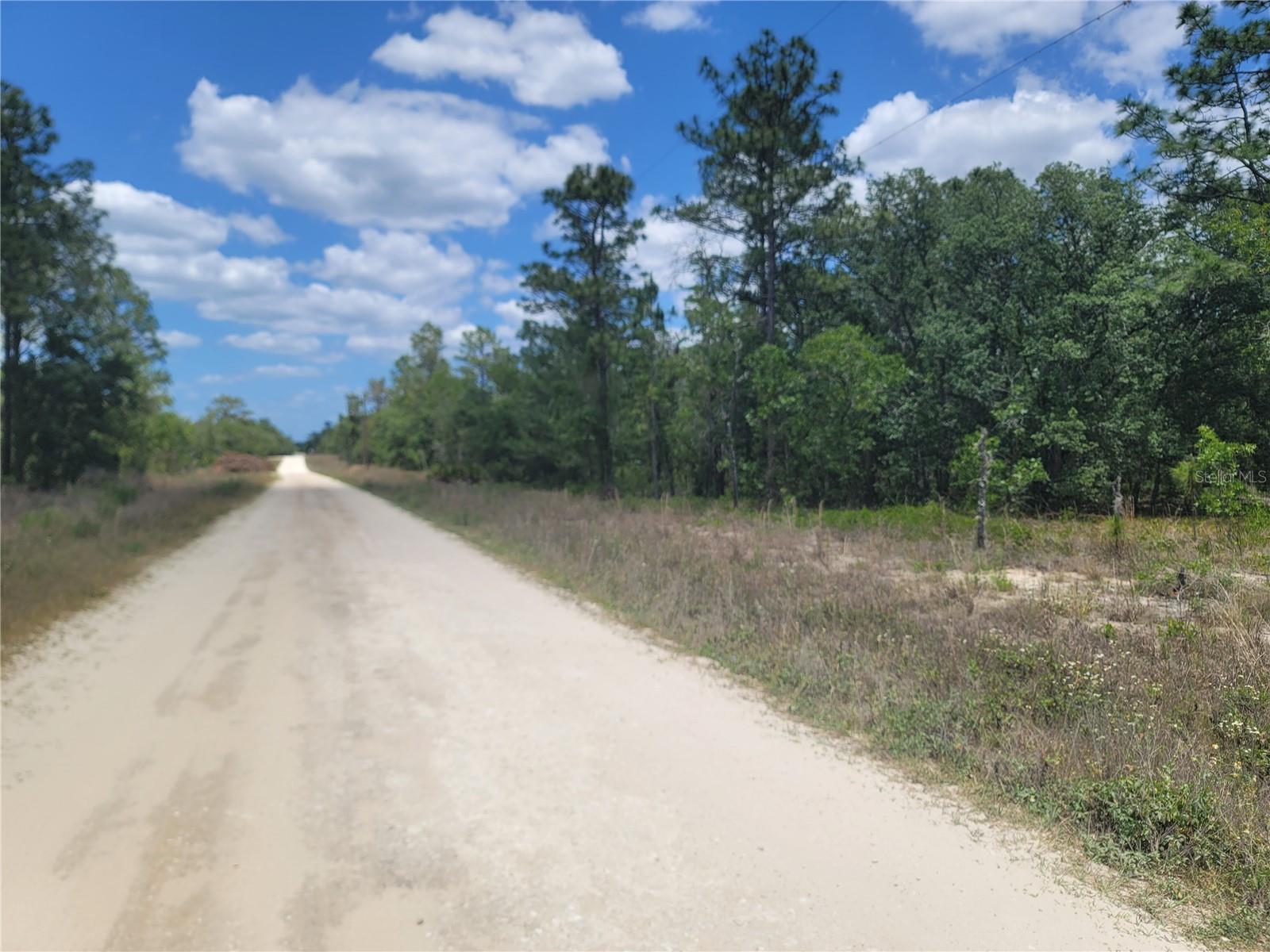 Lot 6 SW 121ST TER, DUNNELLON, FL, 34432